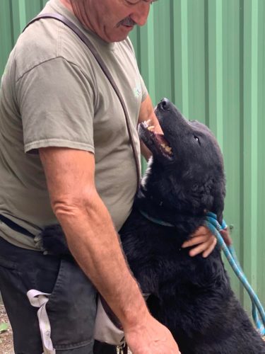 292139463_2243001202520087_2718144564544366589_n