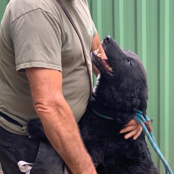 292139463_2243001202520087_2718144564544366589_n 292139463_2243001202520087_2718144564544366589_n