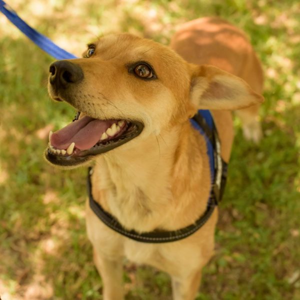 292201856_2240576696095871_6260663382567239393_n 292201856_2240576696095871_6260663382567239393_n