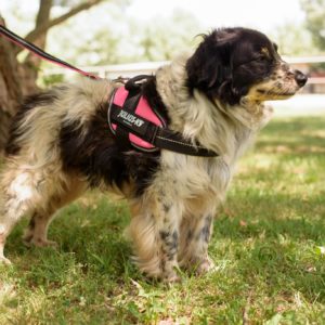 292531862_2239479409538933_4145872517469755004_n