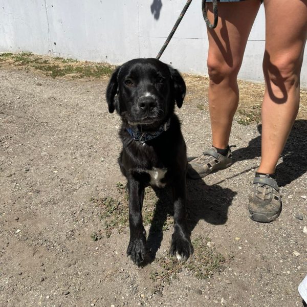 292743131_2244613145692226_7789257628071534809_n