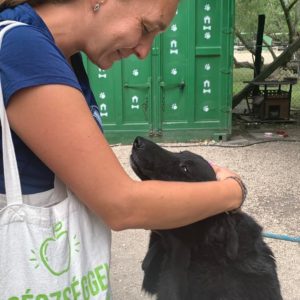 292787543_2243001305853410_3996466366331787456_n 292787543_2243001305853410_3996466366331787456_n