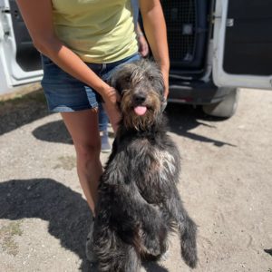 293566806_2244613022358905_3168597557639668391_n