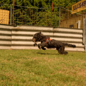 fotozas09_kesz_-154 fotozas09_kesz_-154