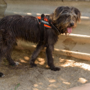 fotozas09_kesz_-160 fotozas09_kesz_-160