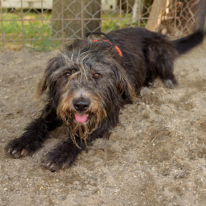 fotozas09_kesz_-174 fotozas09_kesz_-174