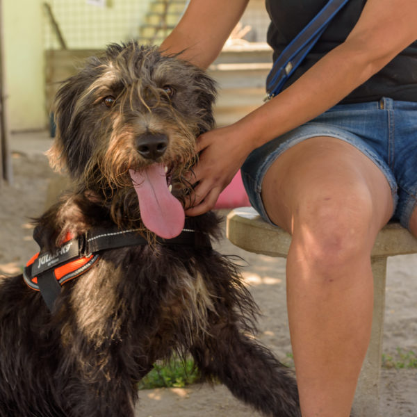 fotozas09_kesz_-178 fotozas09_kesz_-178