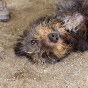 fotozas09_kesz_-192 fotozas09_kesz_-192