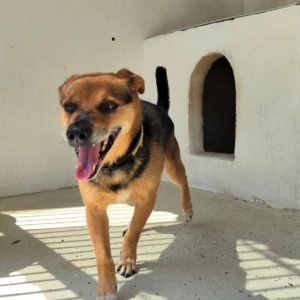 296171311_2259888930831314_4643386089466449455_n