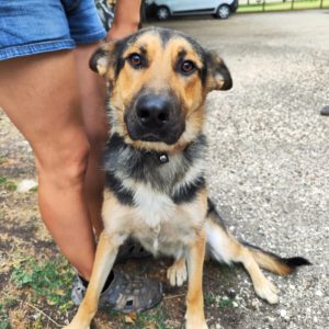 296478766_2215034495340539_3925636052928707694_n