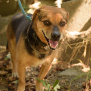 fotozas10_kesz_01-113