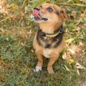 fotozas10_kesz_01-129