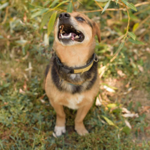 fotozas10_kesz_01-131