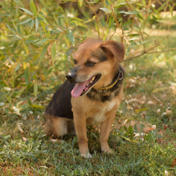 fotozas10_kesz_01-133