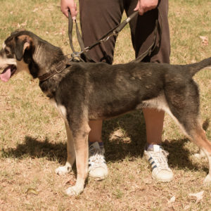 fotozas10_kesz_01-177 fotozas10_kesz_01-177