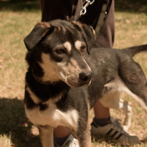 fotozas10_kesz_01-181 fotozas10_kesz_01-181