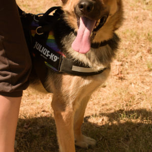 fotozas10_kesz_01-53 fotozas10_kesz_01-53