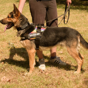 fotozas10_kesz_01-60 fotozas10_kesz_01-60