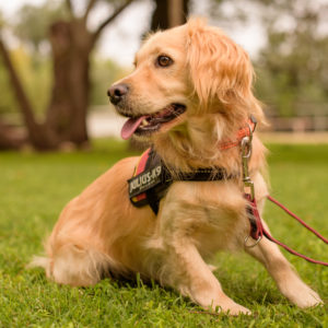 15_Ebarvahaz_fotozas (189 of 340) 15_Ebarvahaz_fotozas (189 of 340)