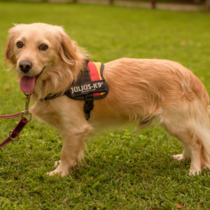 15_Ebarvahaz_fotozas (198 of 340) 15_Ebarvahaz_fotozas (198 of 340)