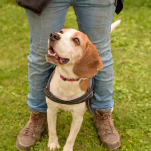 15_Ebarvahaz_fotozas (218 of 340)