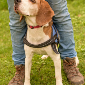 15_Ebarvahaz_fotozas (219 of 340)