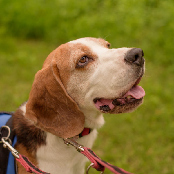 15_Ebarvahaz_fotozas (222 of 340)