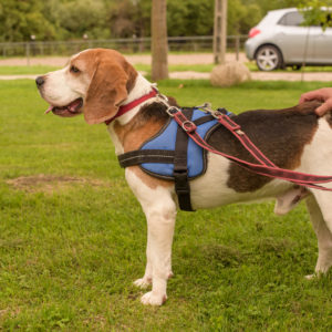 15_Ebarvahaz_fotozas (248 of 340)