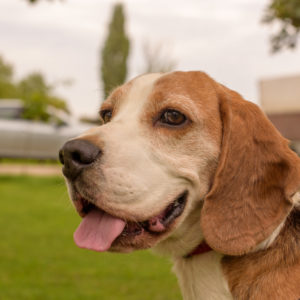 15_Ebarvahaz_fotozas (251 of 340)