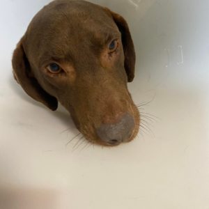 302436396_606004734239150_8465850373922539358_n 302436396_606004734239150_8465850373922539358_n