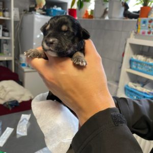 311386099_671975664205439_1443859657353896969_n