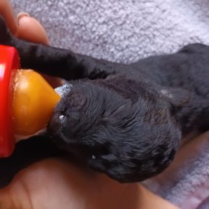 312026646_630600895409426_7116249452980730950_n