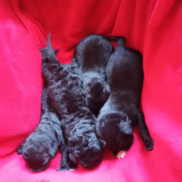 312179798_2429911217163826_5039970352603679418_n