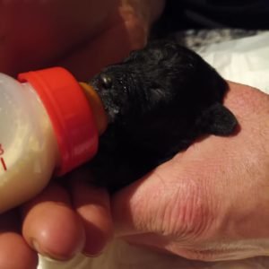 312575854_799124051321575_4382368377102569826_n