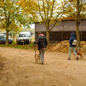 311975112_2336824876471052_2308372373342255266_n (1) 311975112_2336824876471052_2308372373342255266_n (1)