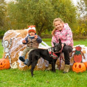 312408090_2336825073137699_2382911976559445146_n (1) 312408090_2336825073137699_2382911976559445146_n (1)