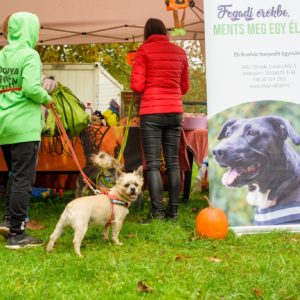 312570128_2336824609804412_7518736567062984597_n 312570128_2336824609804412_7518736567062984597_n