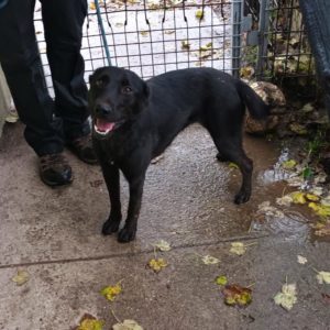 316006605_2351386225014917_3410744176492423612_n 316006605_2351386225014917_3410744176492423612_n