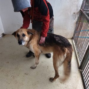 316043460_2351386398348233_5474057147969200389_n 316043460_2351386398348233_5474057147969200389_n