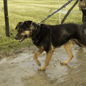 33_ebarvahaz_-094 33_ebarvahaz_-094