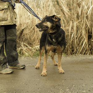 33_ebarvahaz_-104 33_ebarvahaz_-104