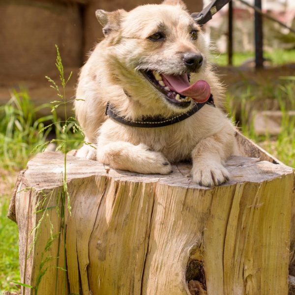 43_ebarvahaz_-188 43_ebarvahaz_-188