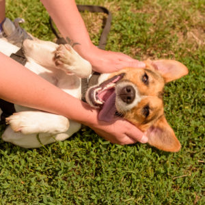 44_ebarvahaz_-120 44_ebarvahaz_-120