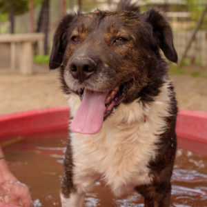 44_ebarvahaz_-179 44_ebarvahaz_-179