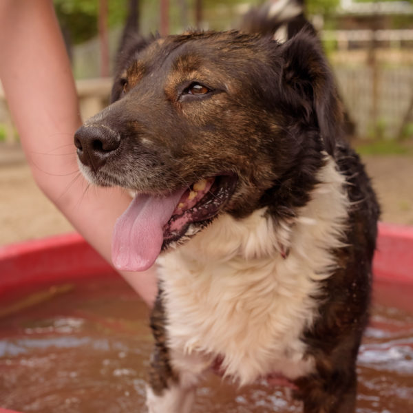 44_ebarvahaz_-180 44_ebarvahaz_-180