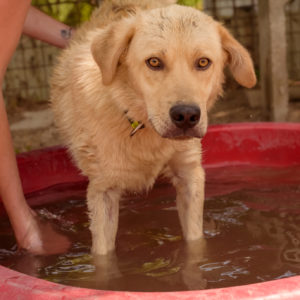 44_ebarvahaz_-200 44_ebarvahaz_-200