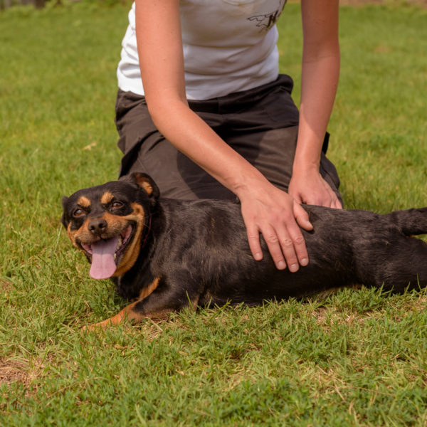 44_ebarvahaz_-236 44_ebarvahaz_-236