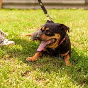 44_ebarvahaz_-238 44_ebarvahaz_-238