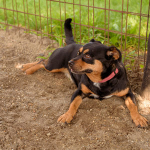 44_ebarvahaz_-241 44_ebarvahaz_-241