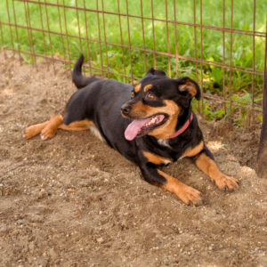 44_ebarvahaz_-242 44_ebarvahaz_-242